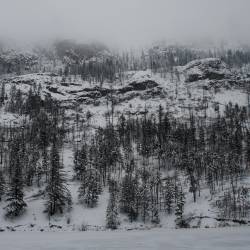 Bleeding Into Existence